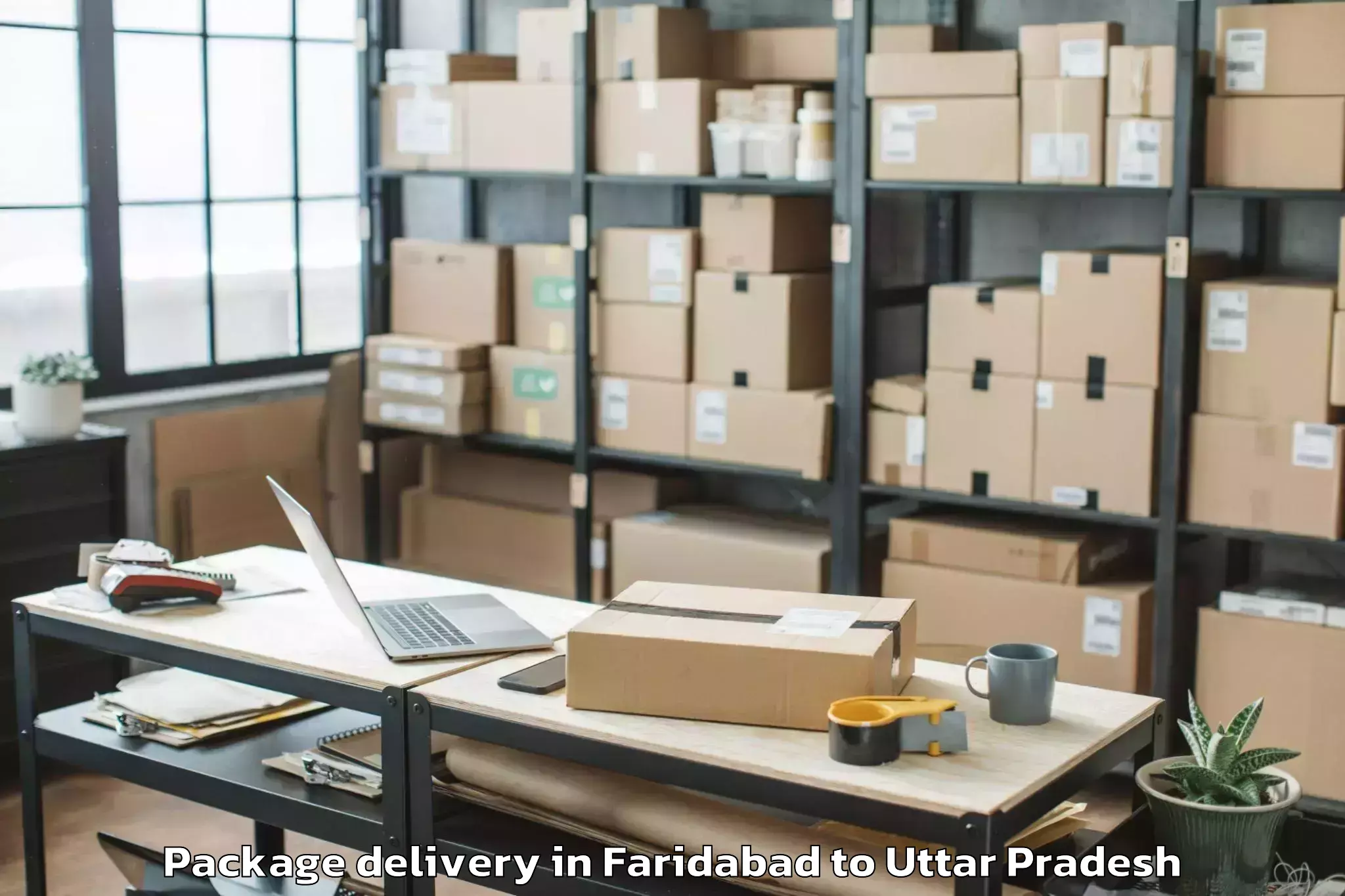 Faridabad to Bakewar Package Delivery Booking